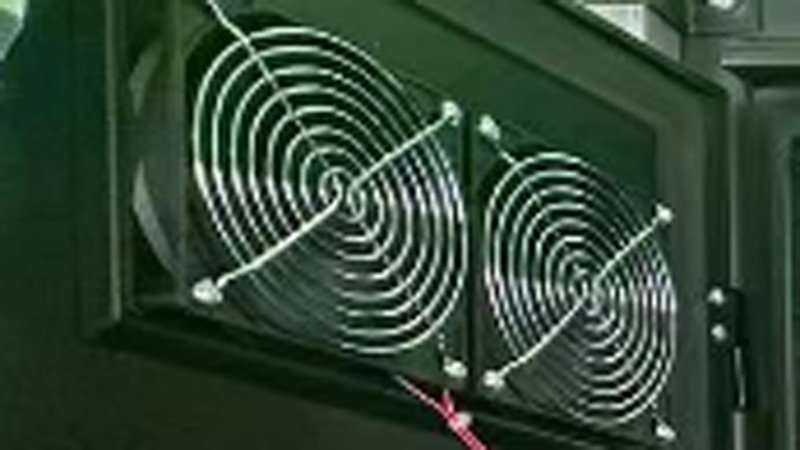 fan