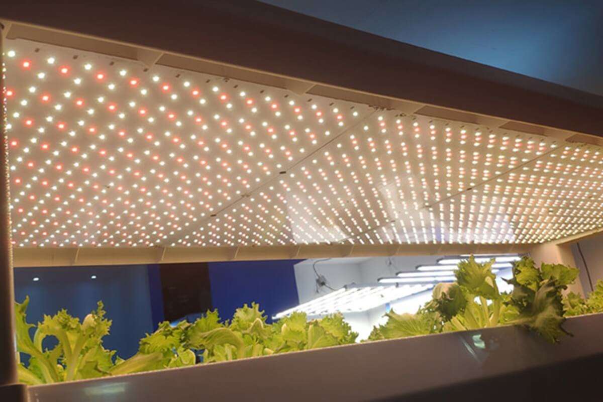 Quantum LED Board2